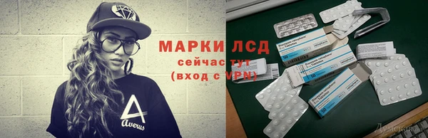 стаф Ельня