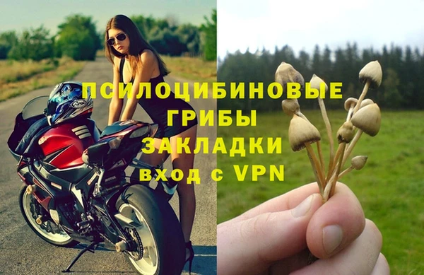 эйфоретик Елабуга