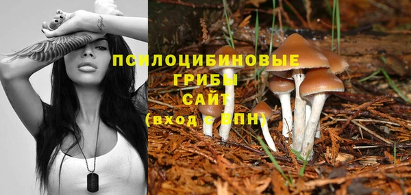 метадон Липки