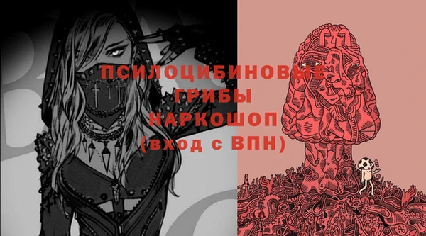 соль ск Апатиты