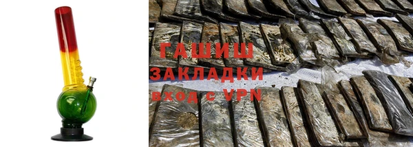 стаф Ельня