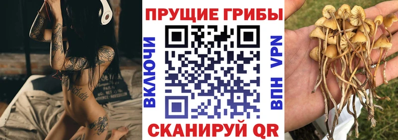 Псилоцибиновые грибы Psilocybine cubensis  где купить   ОМГ ОМГ как зайти  Ельня 